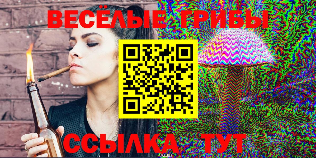 Псилоцибиновые грибы Magic Shrooms  Псилоцибиновые грибы GOLDEN TEACHER  Вход с VPN  Алатырь 