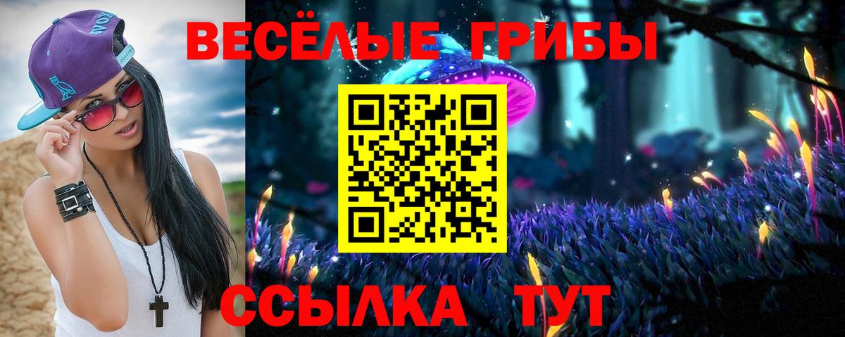 Галлюциногенные грибы Psilocybe Алатырь
